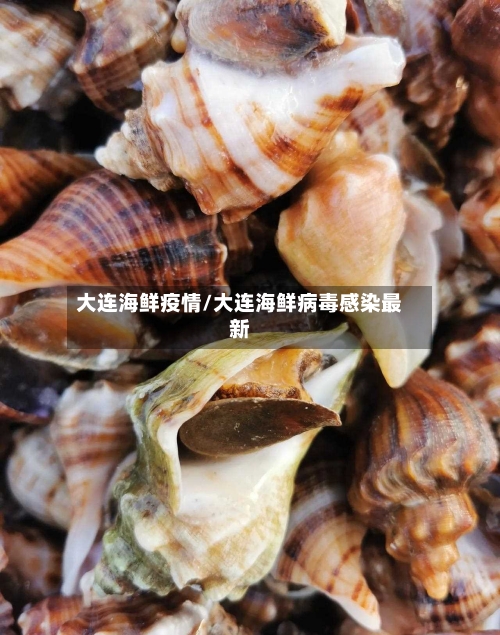 大连海鲜疫情/大连海鲜病毒感染最新-第3张图片