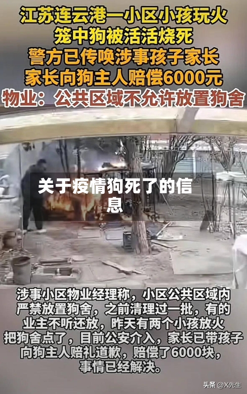 关于疫情狗死了的信息-第3张图片