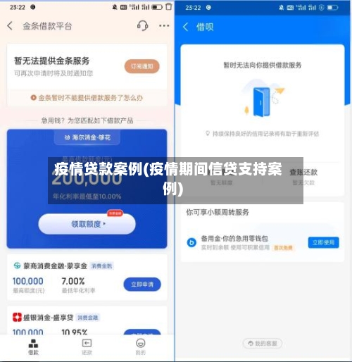 疫情贷款案例(疫情期间信贷支持案例)-第2张图片