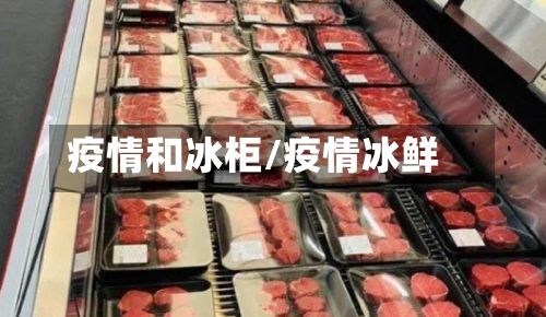 疫情和冰柜/疫情冰鲜-第3张图片