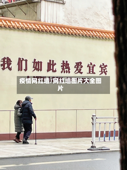 疫情网红墙/网红墙图片大全图片-第2张图片