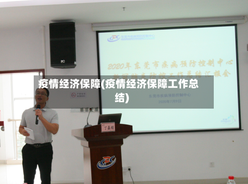 疫情经济保障(疫情经济保障工作总结)-第2张图片