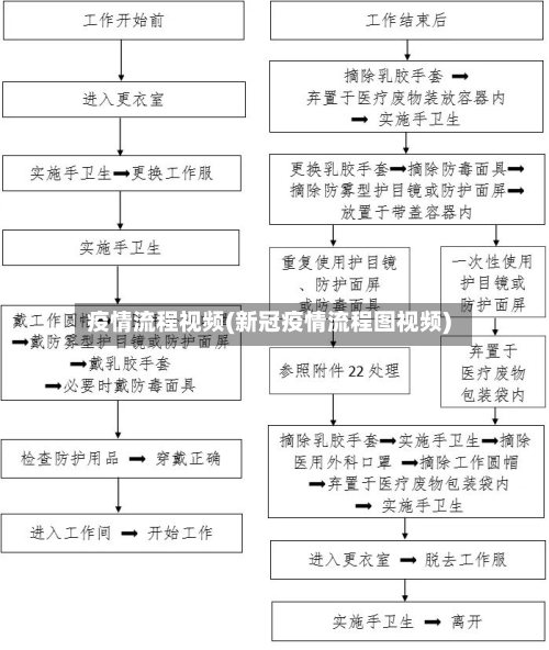 疫情流程视频(新冠疫情流程图视频)