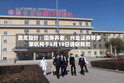 鼎龙股份：国寿养老	、兴业证券等多家机构于5月19日调研我司-第3张图片