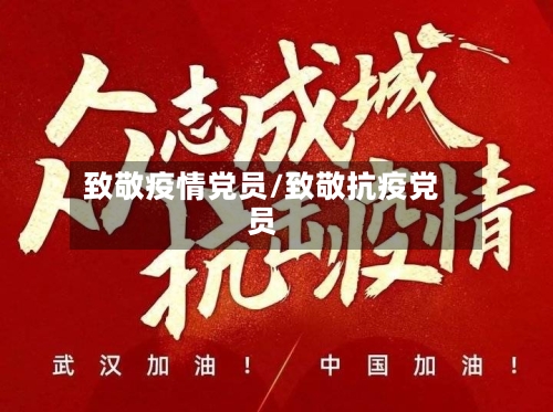致敬疫情党员/致敬抗疫党员-第2张图片