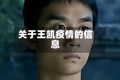 关于王凯疫情的信息