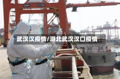 武汉汉疫情/湖北武汉汉口疫情-第2张图片