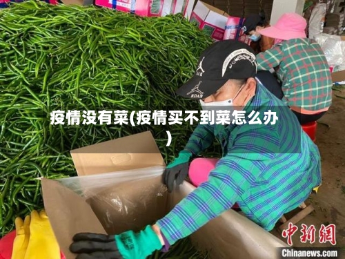 疫情没有菜(疫情买不到菜怎么办)-第2张图片