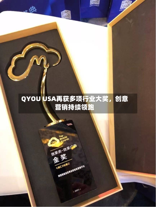 QYOU USA再获多项行业大奖，创意营销持续领跑-第2张图片