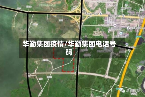 华勤集团疫情/华勤集团电话号码