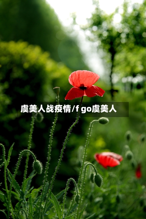 虞美人战疫情/f go虞美人