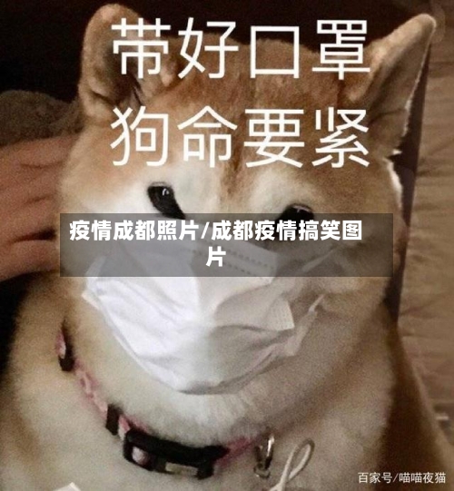疫情成都照片/成都疫情搞笑图片-第2张图片