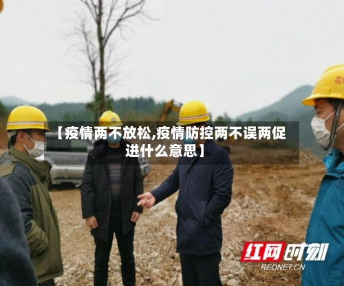 【疫情两不放松,疫情防控两不误两促进什么意思】-第2张图片