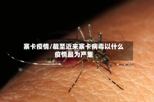 寨卡疫情/截至近来寨卡病毒以什么疫情最为严重