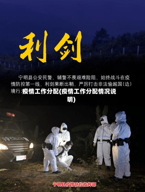 疫情工作分配(疫情工作分配情况说明)