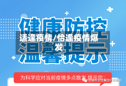 适逢疫情/恰逢疫情爆发-第2张图片