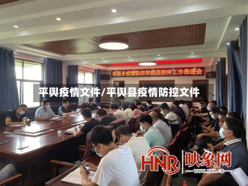 平舆疫情文件/平舆县疫情防控文件-第3张图片