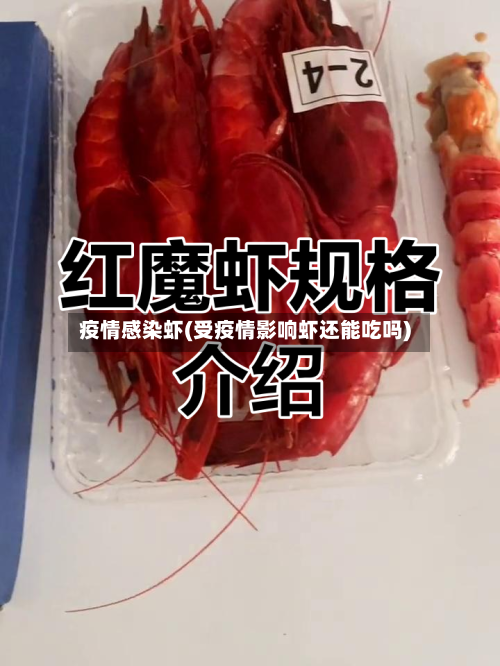 疫情感染虾(受疫情影响虾还能吃吗)