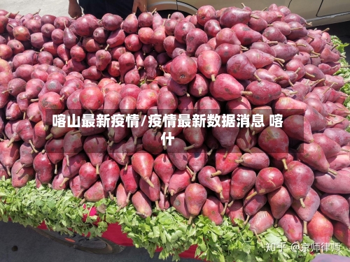 喀山最新疫情/疫情最新数据消息 喀什
