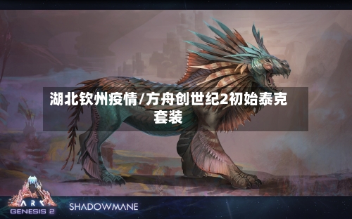湖北钦州疫情/方舟创世纪2初始泰克套装-第3张图片