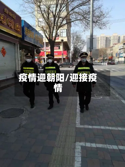 疫情迎朝阳/迎接疫情
