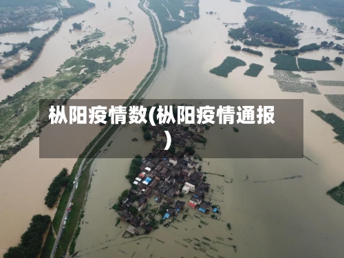 枞阳疫情数(枞阳疫情通报)
