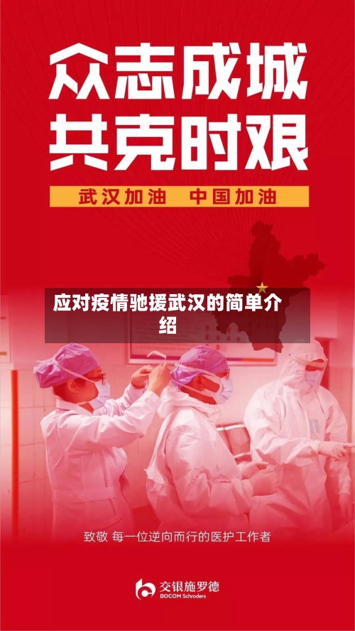 应对疫情驰援武汉的简单介绍-第2张图片