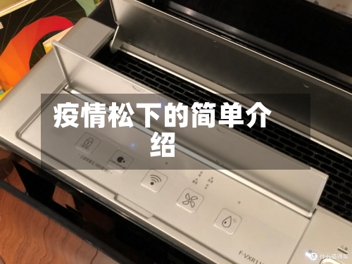 疫情松下的简单介绍-第1张图片