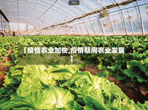 【疫情农业加快,疫情期间农业发展】-第2张图片