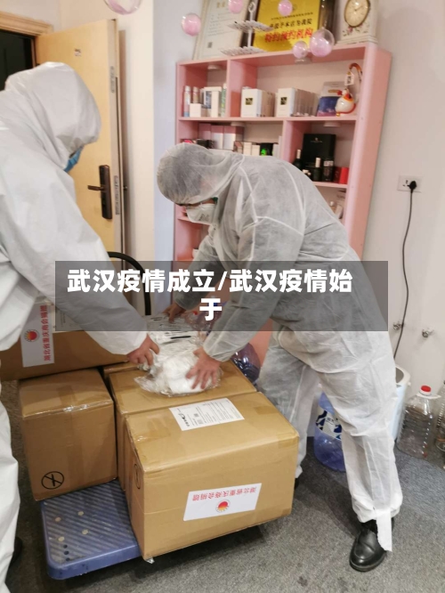 武汉疫情成立/武汉疫情始于