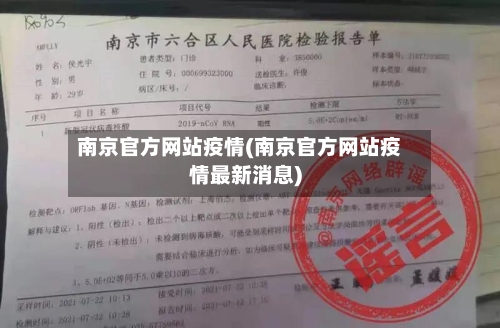 南京官方网站疫情(南京官方网站疫情最新消息)-第2张图片